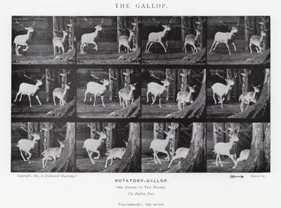 Eadweard Muybridge: The Gallop (s/hvitt-bilde) av Eadweard Muybridge