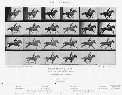 Eadweard Muybridge: The Gallop (s/hvitt-bilde) av Eadweard Muybridge