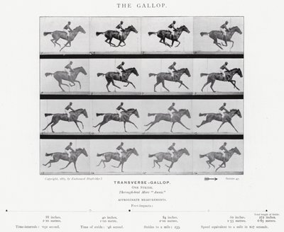 Eadweard Muybridge: The Gallop (s/hvitt-bilde) av Eadweard Muybridge