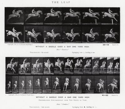 Eadweard Muybridge: The Leap (s/hvitt-bilde) av Eadweard Muybridge