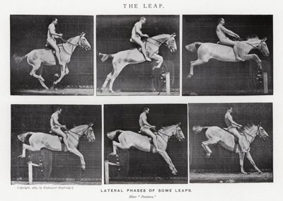 Eadweard Muybridge: The Leap (s/hvitt-bilde) av Eadweard Muybridge