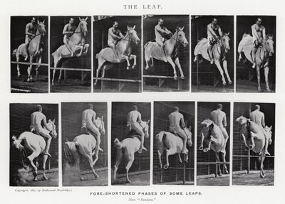 Eadweard Muybridge: The Leap (s/hvitt-bilde) av Eadweard Muybridge