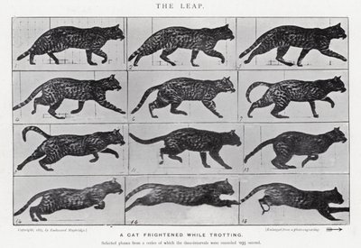 Eadweard Muybridge: The Leap (s/hvitt-bilde) av Eadweard Muybridge