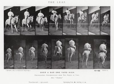 Eadweard Muybridge: The Leap (s/hvitt-bilde) av Eadweard Muybridge