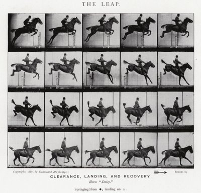 Eadweard Muybridge: The Leap (s/hvitt-bilde) av Eadweard Muybridge