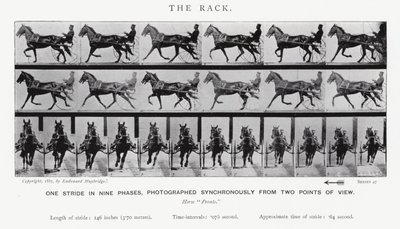 Eadweard Muybridge: The Rack (s/hvitt-bilde) av Eadweard Muybridge
