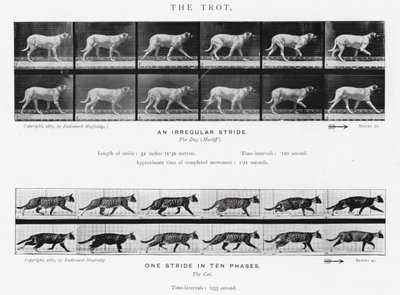 Eadweard Muybridge: The Trot (s/hvitt-bilde) av Eadweard Muybridge