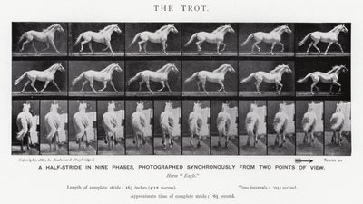 Eadweard Muybridge: The Trot (s/hvitt-bilde) av Eadweard Muybridge