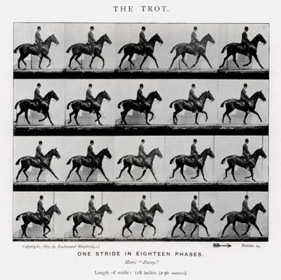 Eadweard Muybridge: The Trot av Eadweard Muybridge