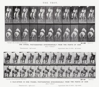 Eadweard Muybridge: The Trot av Eadweard Muybridge