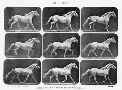 Eadweard Muybridge: The Trot av Eadweard Muybridge