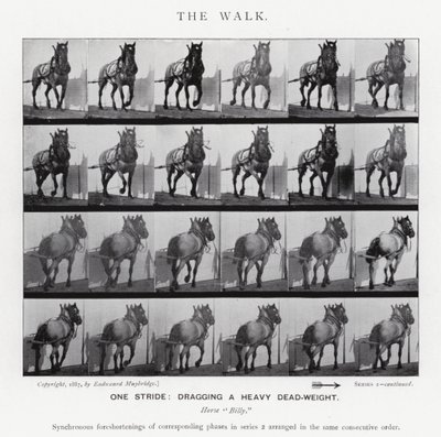 Eadweard Muybridge: The Walk (s/hvitt bilde) av Eadweard Muybridge