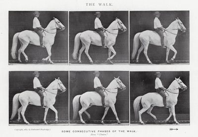Eadweard Muybridge: The Walk (s/hvitt bilde) av Eadweard Muybridge