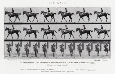 Eadweard Muybridge: The Walk (s/hvitt bilde) av Eadweard Muybridge