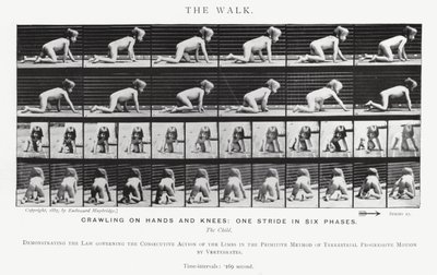 Eadweard Muybridge: The Walk (s/hvitt bilde) av Eadweard Muybridge