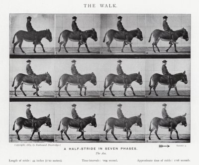 Eadweard Muybridge: The Walk (s/hvitt-bilde) av Eadweard Muybridge