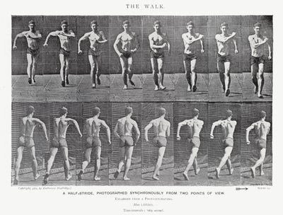 Eadweard Muybridge: The Walk (s/hvitt-bilde) av Eadweard Muybridge