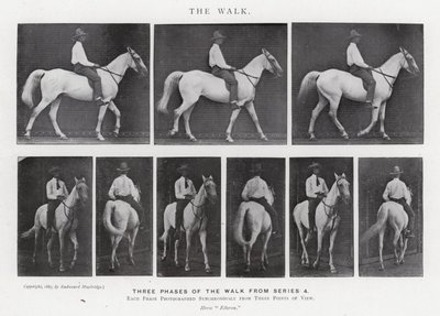 Eadweard Muybridge: The Walk (s/hvitt bilde) av Eadweard Muybridge