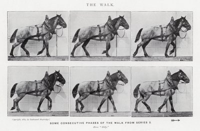 Eadweard Muybridge: The Walk (s/hvitt-bilde) av Eadweard Muybridge