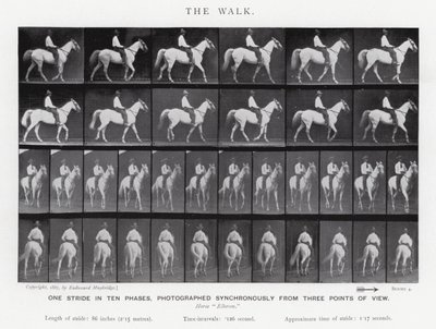 Eadweard Muybridge: The Walk (s/hvitt-bilde) av Eadweard Muybridge
