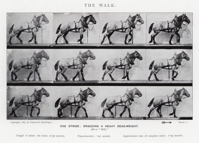Eadweard Muybridge: The Walk av Eadweard Muybridge