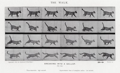 Eadweard Muybridge: The Walk av Eadweard Muybridge