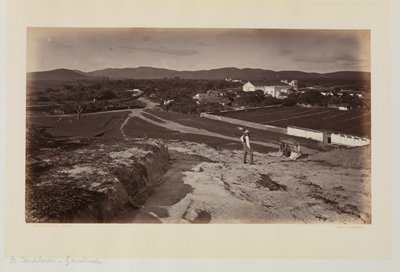  av Eadweard Muybridge