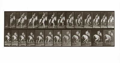 Galopperende hest med rytter, plate 635 fra Animal Locomotion, 1887 av Eadweard Muybridge