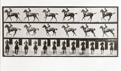 Hest og rytter, plate 621 fra Animal Locomotion, 1887 av Eadweard Muybridge