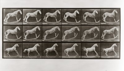 Horse on Rockers and Horse Rolling a Barrel, plate 649 fra Animal Locomotion, 1887 av Eadweard Muybridge