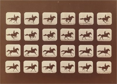 Hester. Løping. Phyrne L. nr. 40 av Eadweard Muybridge