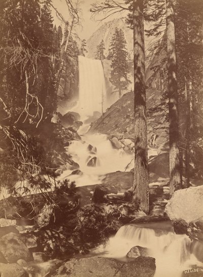  av Eadweard Muybridge