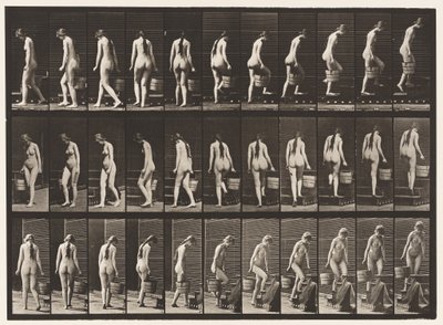Plate 102. Svingende og stigende trapper, bøttevann i Rt Hand, 1872-1885 av Eadweard Muybridge