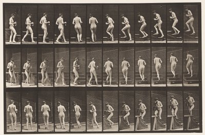 Plate 103. Svingende og stigende trapper, mugge og beger i hender, 1872-1885 av Eadweard Muybridge