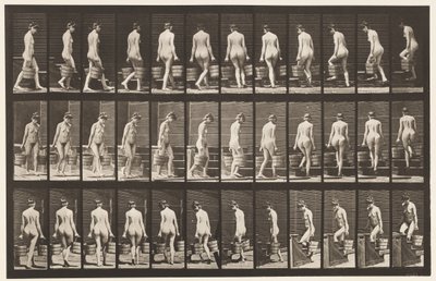 Plate 104. Svingende og stigende trapper, bøttevann i hver hånd, 1872-1885 av Eadweard Muybridge