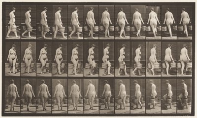 Plate 106. Vende for å gå opp trapper, bøtte med vann i hver hånd, 1872-1885 av Eadweard Muybridge