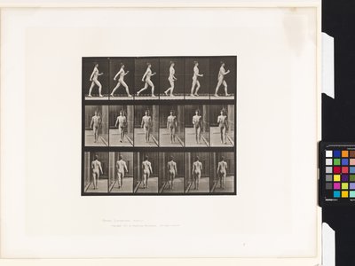 Plate 10.Gå av Eadweard Muybridge