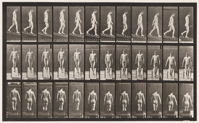 Plate 114. Synkende skråning, vinkel 1 i 4, 1872-1885 av Eadweard Muybridge
