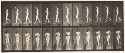 Plate 115. Synkende skråning med hendene knyttet foran av Eadweard Muybridge