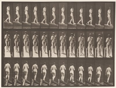 Plate 116. Synkende skråning, en hånd på haken av Eadweard Muybridge