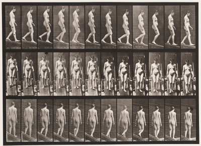 Tavle 117. Descending Incline, 1872-1885 av Eadweard Muybridge