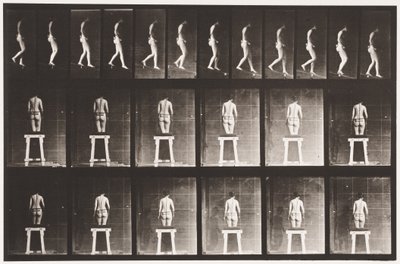 Plate 118. Nedstigning av Eadweard Muybridge