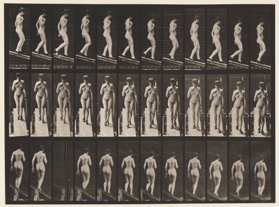 Plate 119. Synkende skråning, høyre hånd på brystet (sko) av Eadweard Muybridge