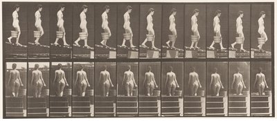 Plate 120. Synkende skråning, bøtte med vann i høyre hånd, 1872-1885 av Eadweard Muybridge
