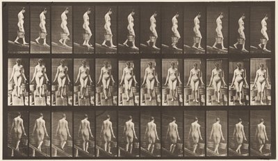 Plate 121. Synkende skråning, bøtte med vann i hver hånd av Eadweard Muybridge