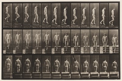 Plate 125. Nedstigende trapp av Eadweard Muybridge