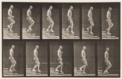 Plate 126. Nedstigende trapp av Eadweard Muybridge