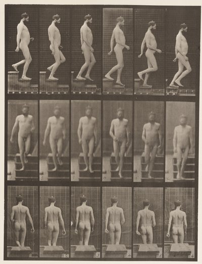 Plate 127. Nedstigende trapper, 1872-1885 av Eadweard Muybridge