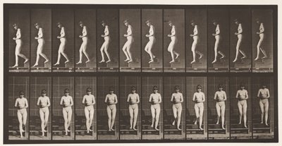 Tallerken 128. Nedstigende trapper, hender i klem, 1872-1885 av Eadweard Muybridge