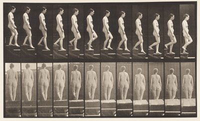 Tallerken 129. Nedstigende trapp, hender i klem av Eadweard Muybridge